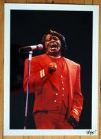 David Lefranc - James Brown, Festival de Leysin, Suisse,