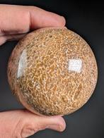 Sauropod Bone Sphere - Fossiel bot - Sauropoda - 7.5 cm -