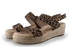 Dolcis Espadrilles in maat 40 Overig | 5% korting, Verzenden, Espadrilles