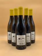 2024 Raymond Usseglio - Châteauneuf-du-Pape - 6 Flessen, Verzamelen, Nieuw