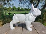 Beeld, French bulldog white garden or for indoor - 39 cm -