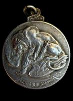 Argent, Curieuse médaille gothique victorienne en argent, Antiquités & Art