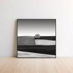 Rosario Civello - Fields #7