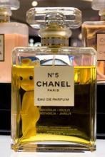 David Law - Coquin Chanel