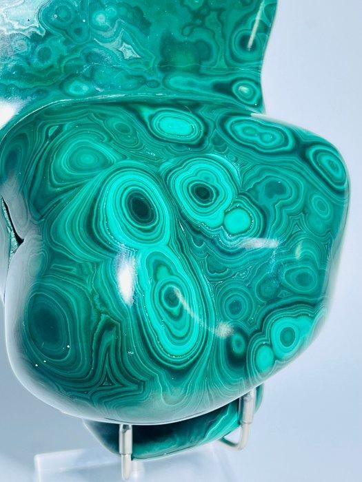 Malachite Freeform – Een gepolijst object met indrukwekkende, Collections, Minéraux & Fossiles
