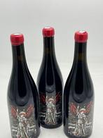 2020 Domaine de lEcu Invictus Cabernet Franc - Loire - 3, Nieuw