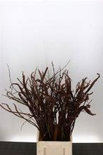 Salix Bandwilg Sekka ca. 90 cm