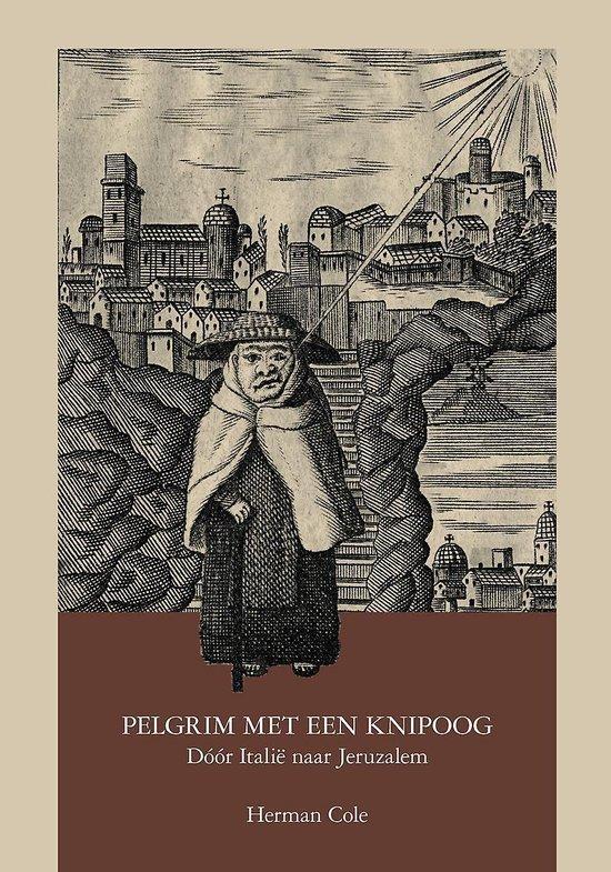 Pelgrim met een knipoog 9789464209266 Herman Cole, Boeken, Romans, Zo goed als nieuw, Verzenden