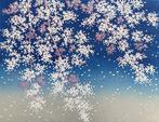 Sakura - Hajime Namiki  (b 1947) - Japan