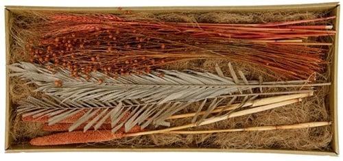 Droogbloempakket Exotic mix tray Terracotta, Maison & Meubles, Accessoires pour la Maison | Plantes & Fleurs artificielles