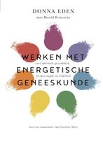 Boek: Werken met energetische geneeskunde (z.g.a.n.), Boeken, Verzenden, Zo goed als nieuw