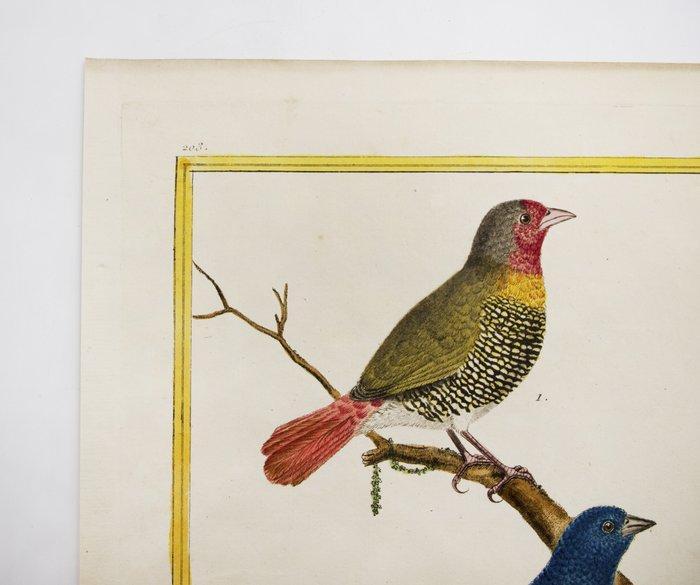 Martinet - François Nicolas Martinet, Antiek en Kunst, Antiek | Boeken en Manuscripten