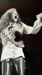 Govert de Roos (1950–) - Janis Joplin