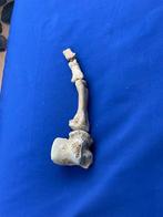 6 hoogwaardige grottenbeerbotten - Fossiel bot - Ursus