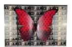 Mike Blackarts - Limited edition 3D butterfly dollar artwork