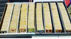 Pokémon - 1000 Bulk kaarten - vintage Foil, Holo - Various, Hobby en Vrije tijd, Verzamelkaartspellen | Pokémon, Nieuw