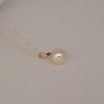 Sans prix de réserve - Collier - 18 carats Or jaune Perle -