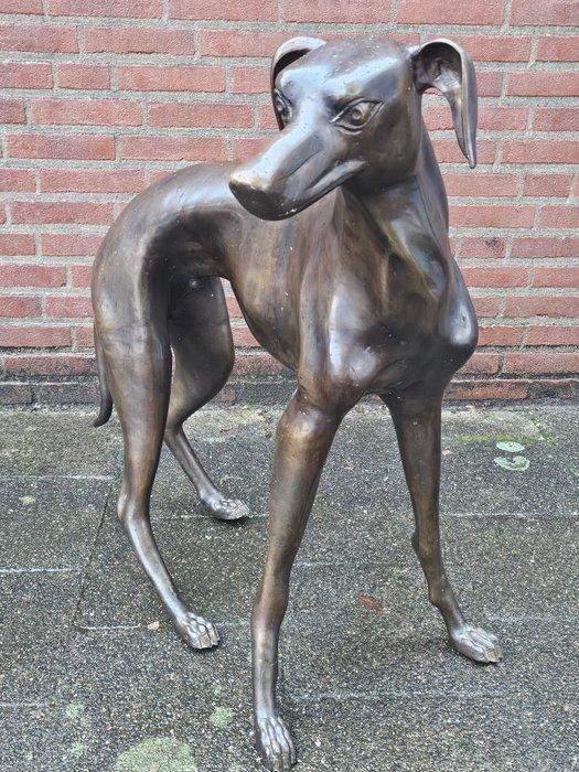 Statue, Hond bronze beeld greyhound - 87 cm - Authenticité, Antiek en Kunst, Curiosa en Brocante