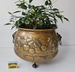 Leeuwen bloempot in Art Nouveau stijl - Bloempot - Koper, Antiek en Kunst