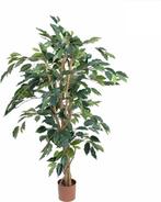 Tweedekans | Mica Decorations Ficus Kunstplant - H110 x Ø65, Ophalen of Verzenden