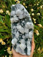 Indrukwekkende kubieke Apofylliet op Blauwe Chalcedoon