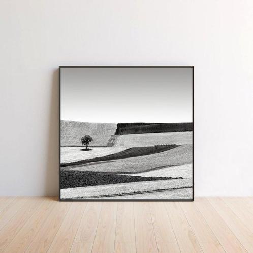 Rosario Civello - Fields #9, Antiek en Kunst, Kunst | Schilderijen | Modern