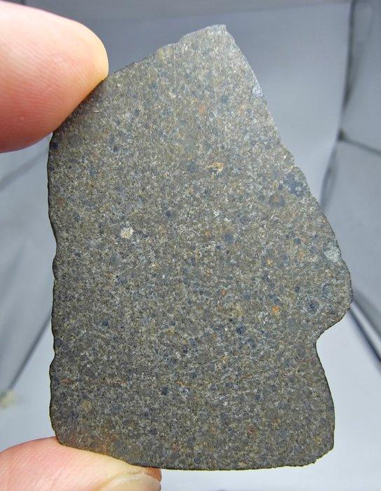 Koolstofrijke CK6-meteoriet. NWA 17323. - 12.44 g, Verzamelen, Mineralen en Fossielen