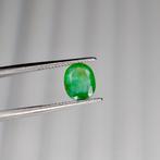 Sans Prix de Réserve - -1 pcs Vert Émeraude - 0.90 ct -, Handtassen en Accessoires, Edelstenen, Nieuw