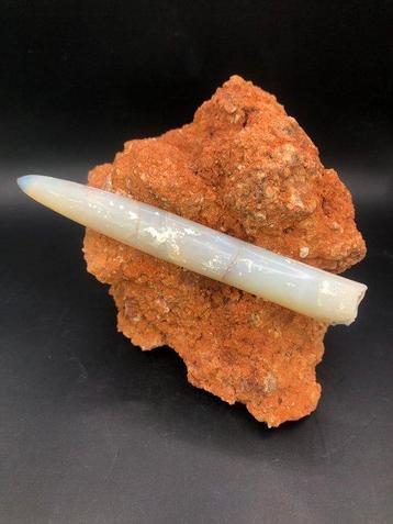 Belemniet - Gefossiliseerd dier - Opalized Belemnite from