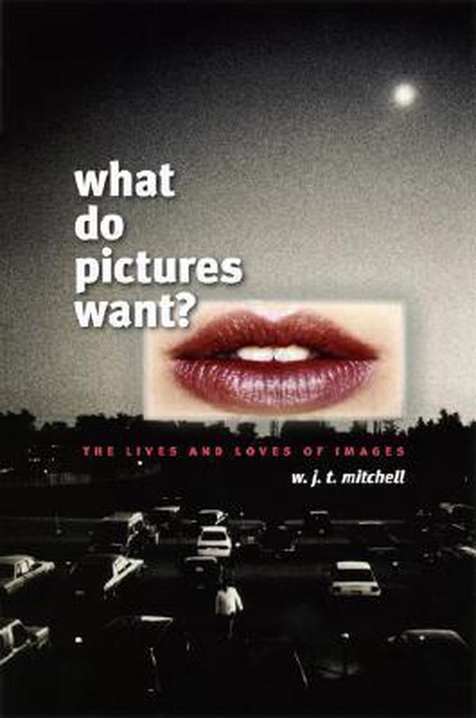 What Do Pictures Want? 9780226532486 W. J. T. Mitchell, Boeken, Taal | Engels, Gelezen, Verzenden