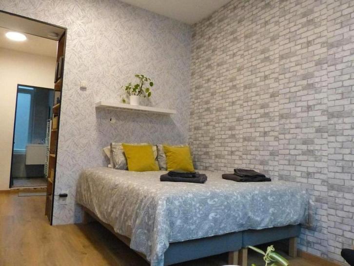 Appartement aan Rue Brogniez, Anderlecht, Immo, Appartementen en Studio's te huur, 20 tot 35 m²