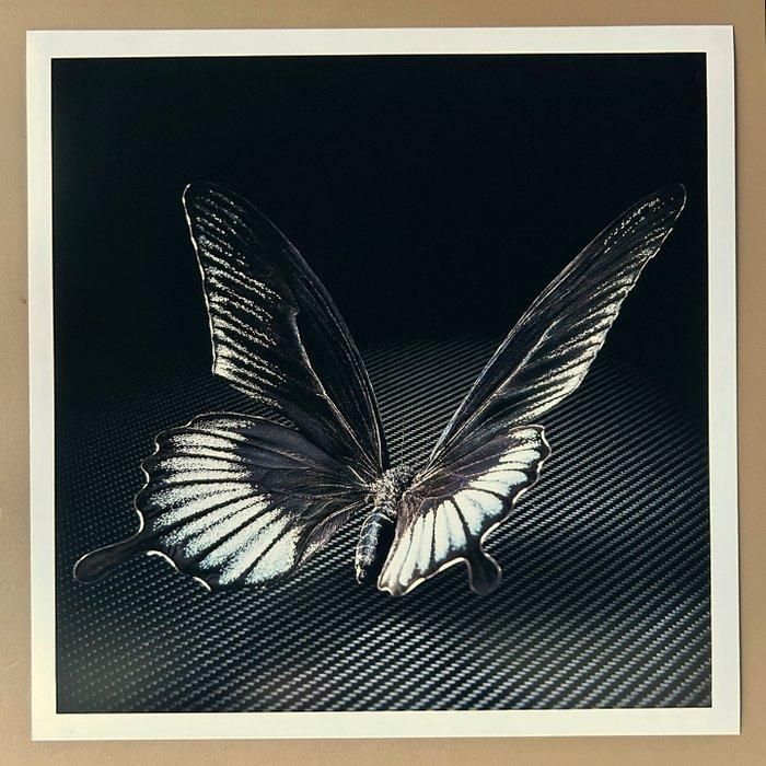 Ralph Hargarten - Black Butterfly, Antiquités & Art, Art | Objets design