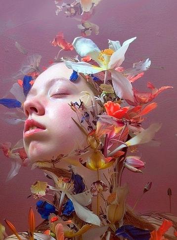 Francien Krieg - New beginnings