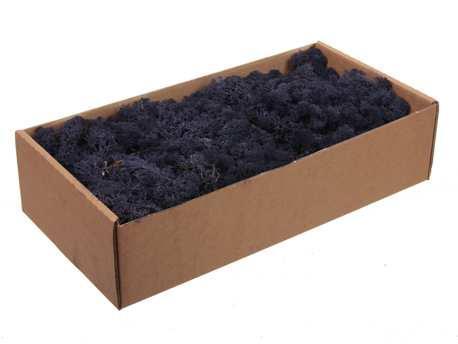 Rendiermos ijslandsmos donkerder lavendel +/- 500 gram +/, Hobby & Loisirs créatifs, Bricolage