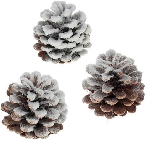 Oostenrijker dennenappel Pinus Nigra sneeuw 250 gr, Hobby en Vrije tijd, Knutselen, Nieuw