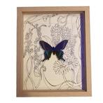 Vlinder Taxidermie wandmontage - Butterfly in art deco style, Verzamelen, Dierenverzamelingen, Nieuw