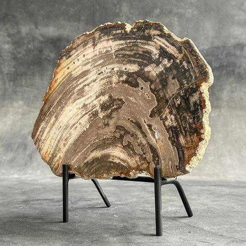 Prachtig stukje versteend hout op een op maat gemaakte, Antiek en Kunst, Kunst | Designobjecten