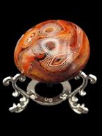 Verbazingwekkende zeer speciale Sardonyx Ocellated Agaat