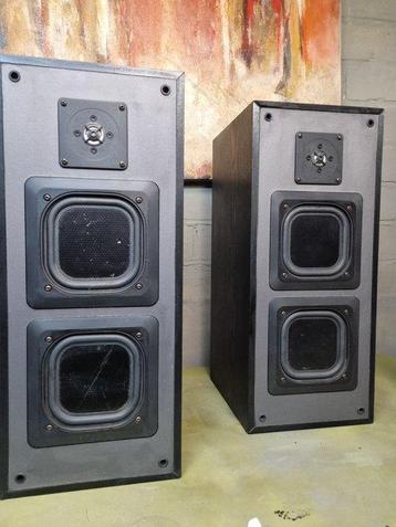 Sony - APM-141 ES Luidsprekerset