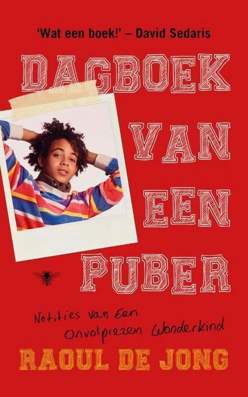 Dagboek van een puber 9789403110905 Raoul de Jong, Boeken, Literatuur, Zo goed als nieuw, Verzenden