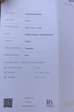 Oranje Gemengde edelstenen - 0.50 ct - nternational Colored, Handtassen en Accessoires, Edelstenen, Nieuw