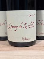 2021 BiNaume Gamay de lAllié - Vin de France - 6