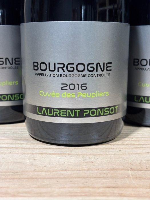 2016 Laurent Ponsot - Bourgogne - Bourgogne - 3 Flessen, Collections, Vins