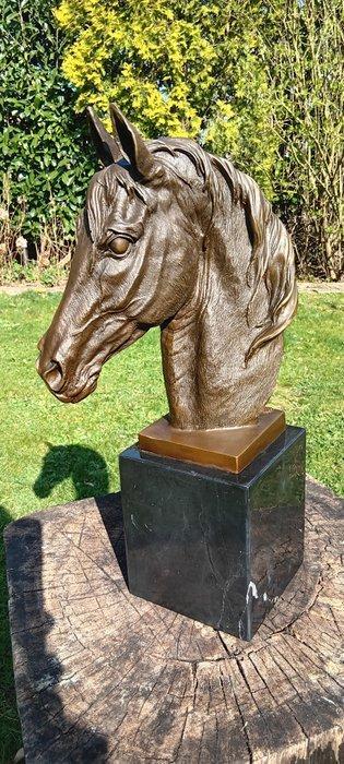 Sculpture, groot en zware sculptuur horsehead - 43 cm -