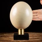 Oeuf dautruche africain - Socle en marbre sur mesure -, Collections, Collections Animaux