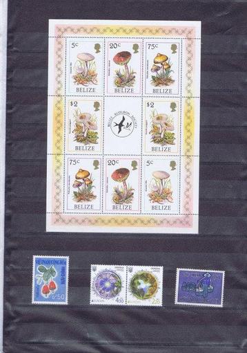 Wereld  - Flora en Paddenstoelen - Michel