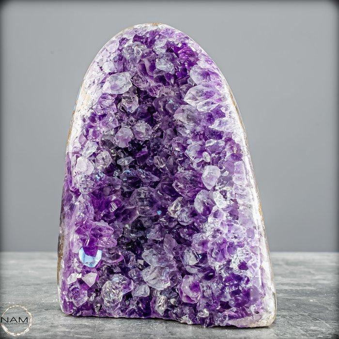 Natürliche Amethyst-Druse met intens violet, Collections, Minéraux & Fossiles
