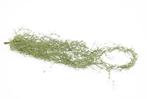 Tillandsia Hangplant Groen 75 cm, Nieuw