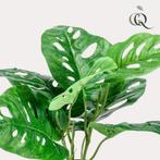 Kunstplanten - Monstera Monkey - Gatenplant - 29 cm, Maison & Meubles, Accessoires pour la Maison | Plantes & Fleurs artificielles