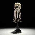 Octopus schedelbeeldhouwwerk Schedel - - - 32 cm - 12 cm -, Antiek en Kunst